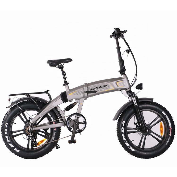 2024 ROADSAN Hot Sales 20" Fat Tire Folding Electric Bicycle 48V 500W Brushless Rear Motor Rear Suspension Insert Battery