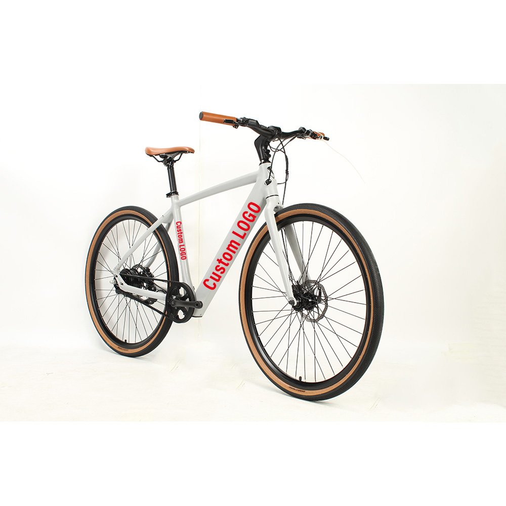 Europe Hot Selling Customizable LOGO 48v 10ah_Lithium Battery Electric City Bike 250w 12 Speed Front and rear shelves