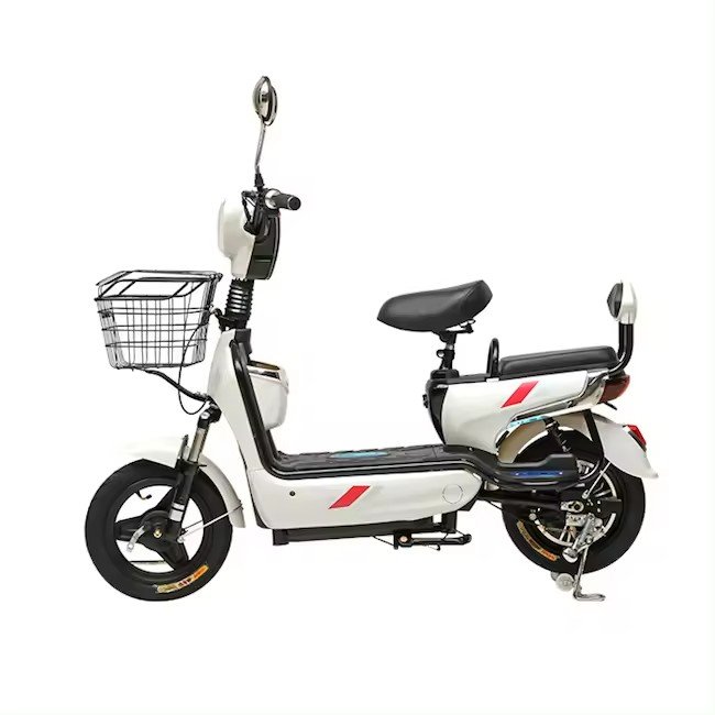 High Configuration Electric Bike with 48v Smart Digital Electronic Rear Hub Motor 3 Speed down Tube Battery Steel Frame