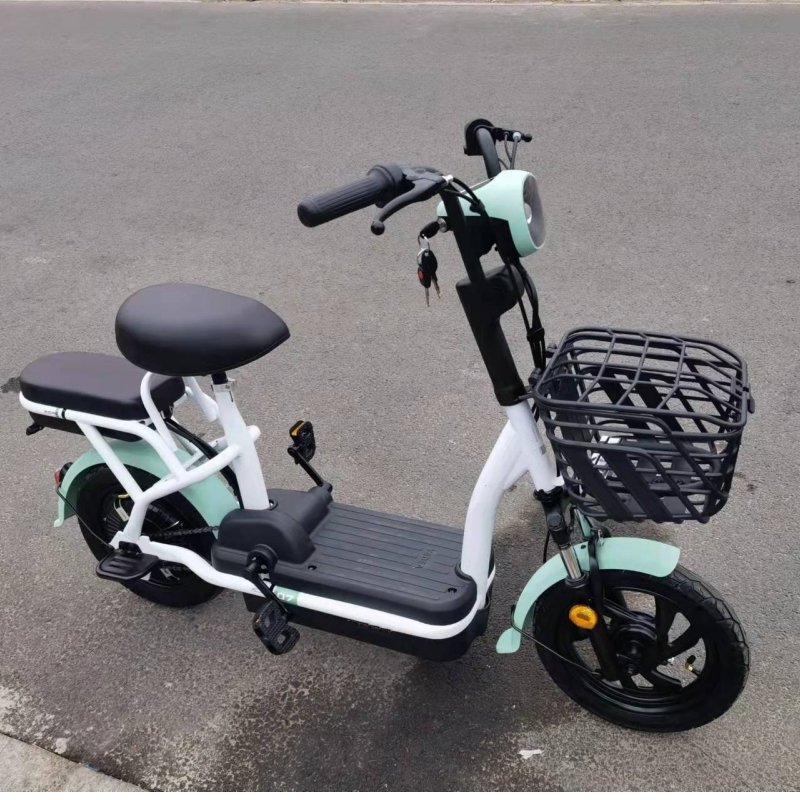 Wholesale High Quality Small Electric Bike 350W 48V12Ah Light Electric City Bike for Adult Women Electric Moped Scooter in Stock