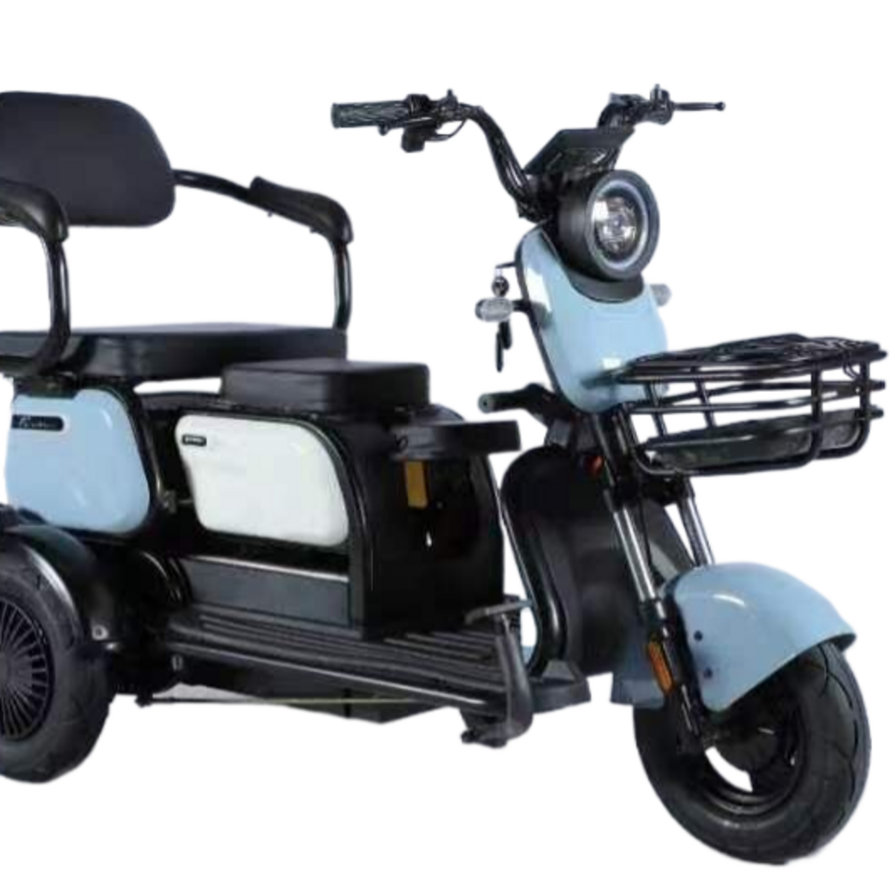 New Model 600w Motor Electric City Bike Cheap Folding 3-Wheel Tricycle Motorcycle