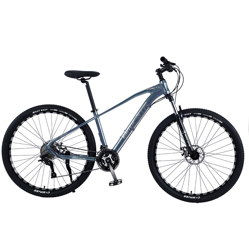And Cheap Mountain Bikes Fast Mountain Bikes For Adult Men And Women Hiking Mountain Bikes