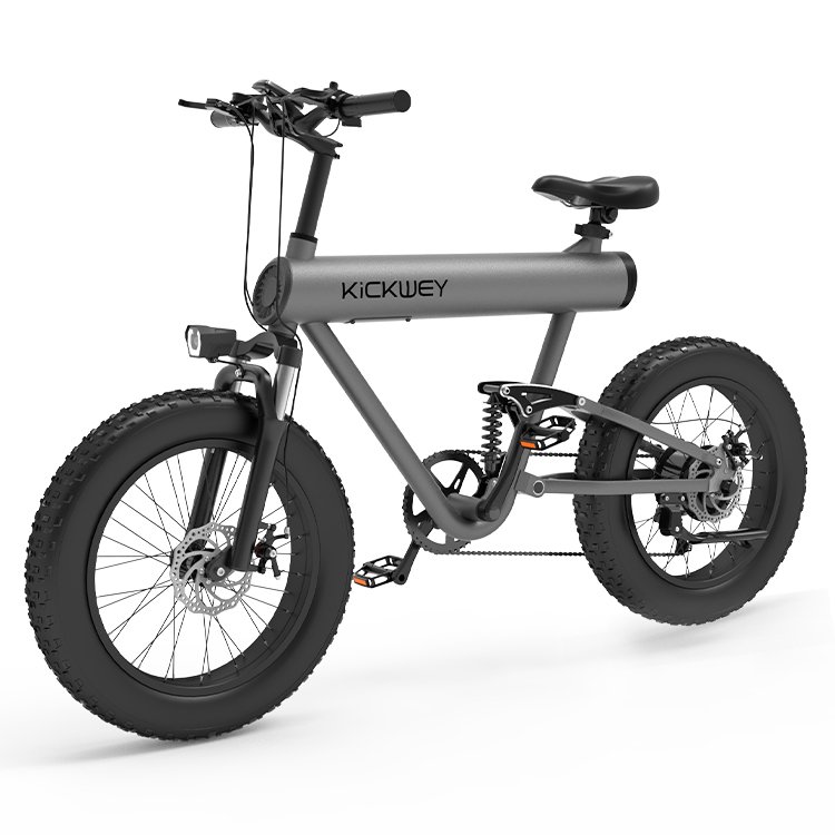 48v 500w 750w 1000w Power China Low Price Front Suspension Ebike Dirt Mountain E Fat Bike