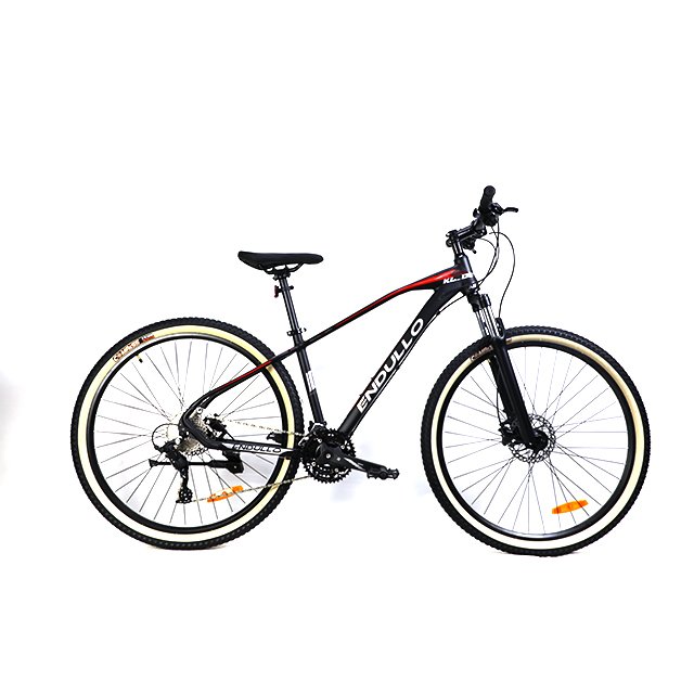 OEM Cheap Price 30 Speed 29 Inch Mountain Bike Cycle