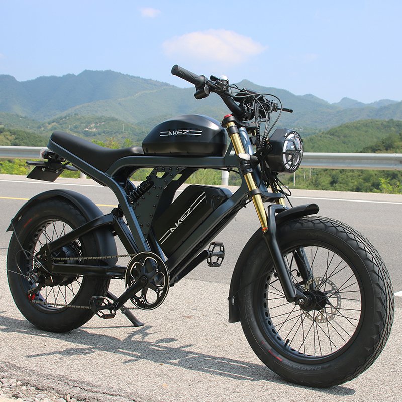 USA warehouse 52V1500W 55Ah 20 inch off road ebike dual battery long range electric motorbikes dirt motorcycle for adults
