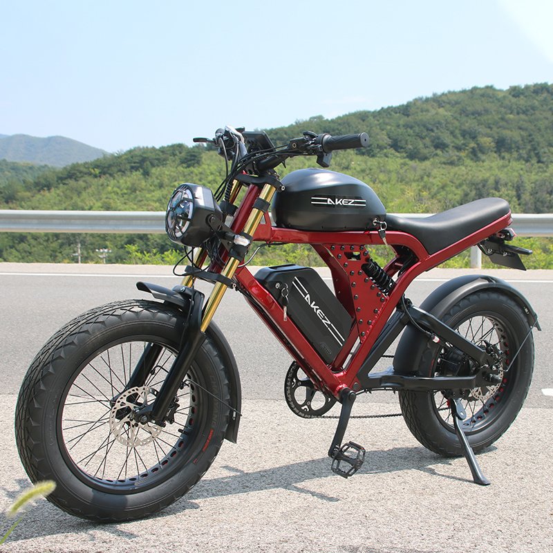 USA warehouse 52V1500W 55Ah 20 inch off road ebike dual battery long range electric motorbikes dirt motorcycle for adults