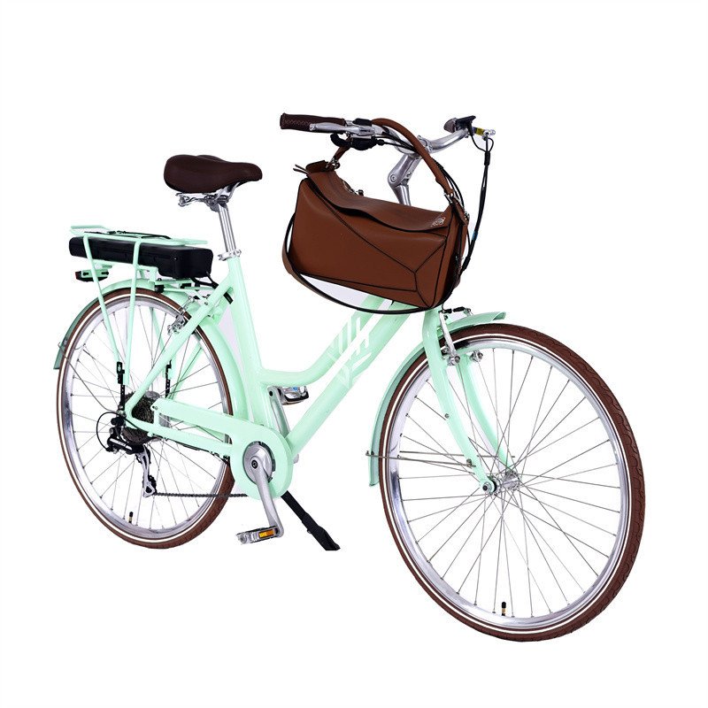 1000 watt folding electric bike / electric cargo bike two wheel / electric bike middle motor