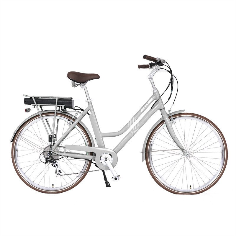 1000 watt folding electric bike / electric cargo bike two wheel / electric bike middle motor
