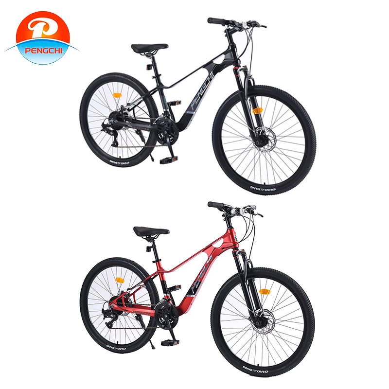 26 inch 21 speed adult male and female universal magnesium alloy frame biccletas bike MTB city road OEM mountain bike