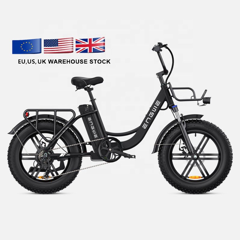 Engwe L20 48v 13ah Lithium Battery Electric Bicycle 20*4 Fat Tires Ebike 250w Electric City Bike