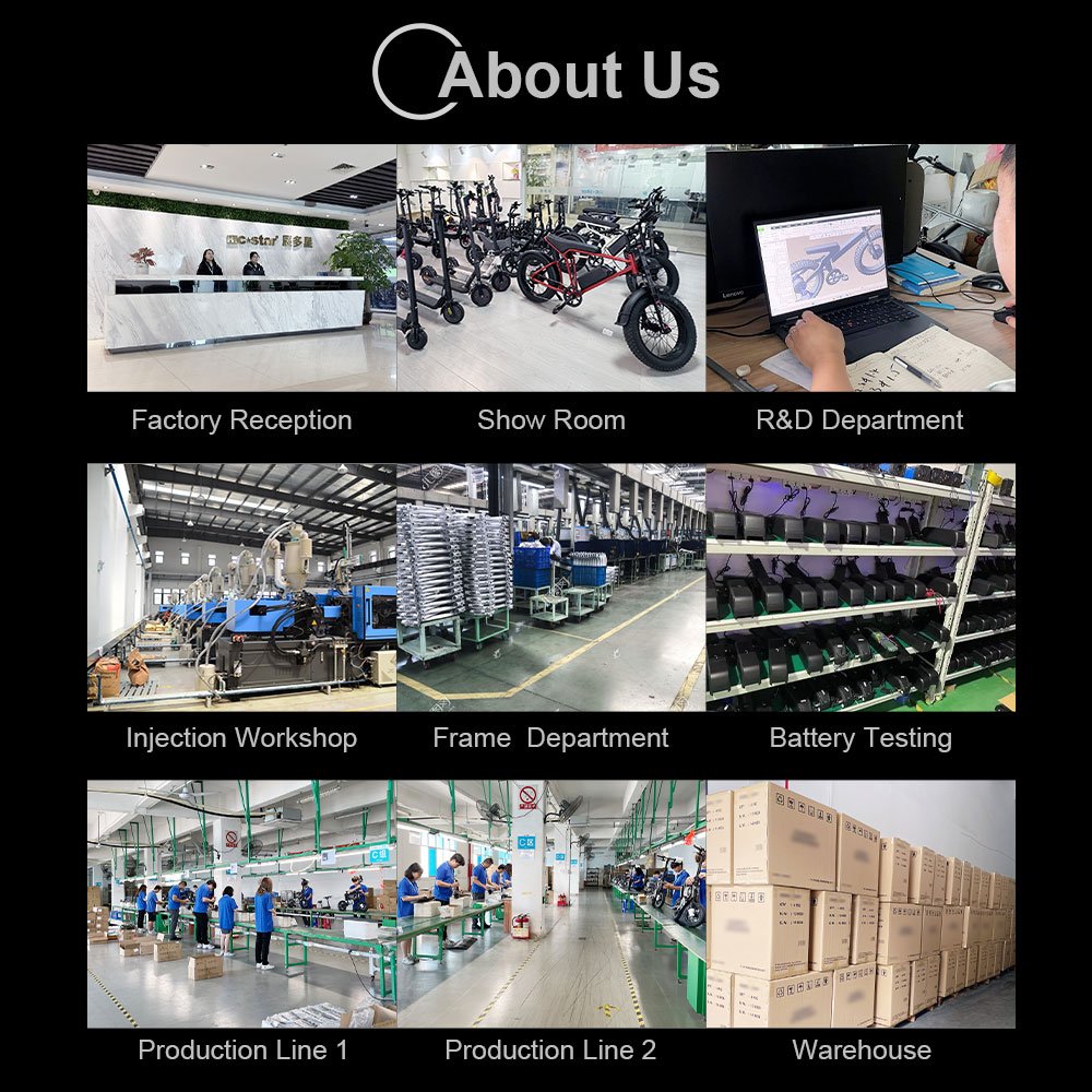 China Bicycle Hybrid Mens E-bike Long Distance Cheap Adults Fat Tire E-bicycle Range Mountain Fast Electric Off Road Bike