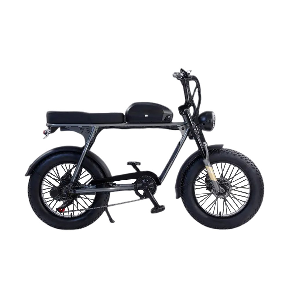 2024 Hot Sale front and rear hydraulic brake electric mountain bike 21 Speed Fat Tire Off Road Ebike for Adults Cycling