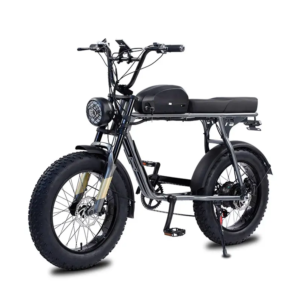 2024 Hot Sale front and rear hydraulic brake electric mountain bike 21 Speed Fat Tire Off Road Ebike for Adults Cycling