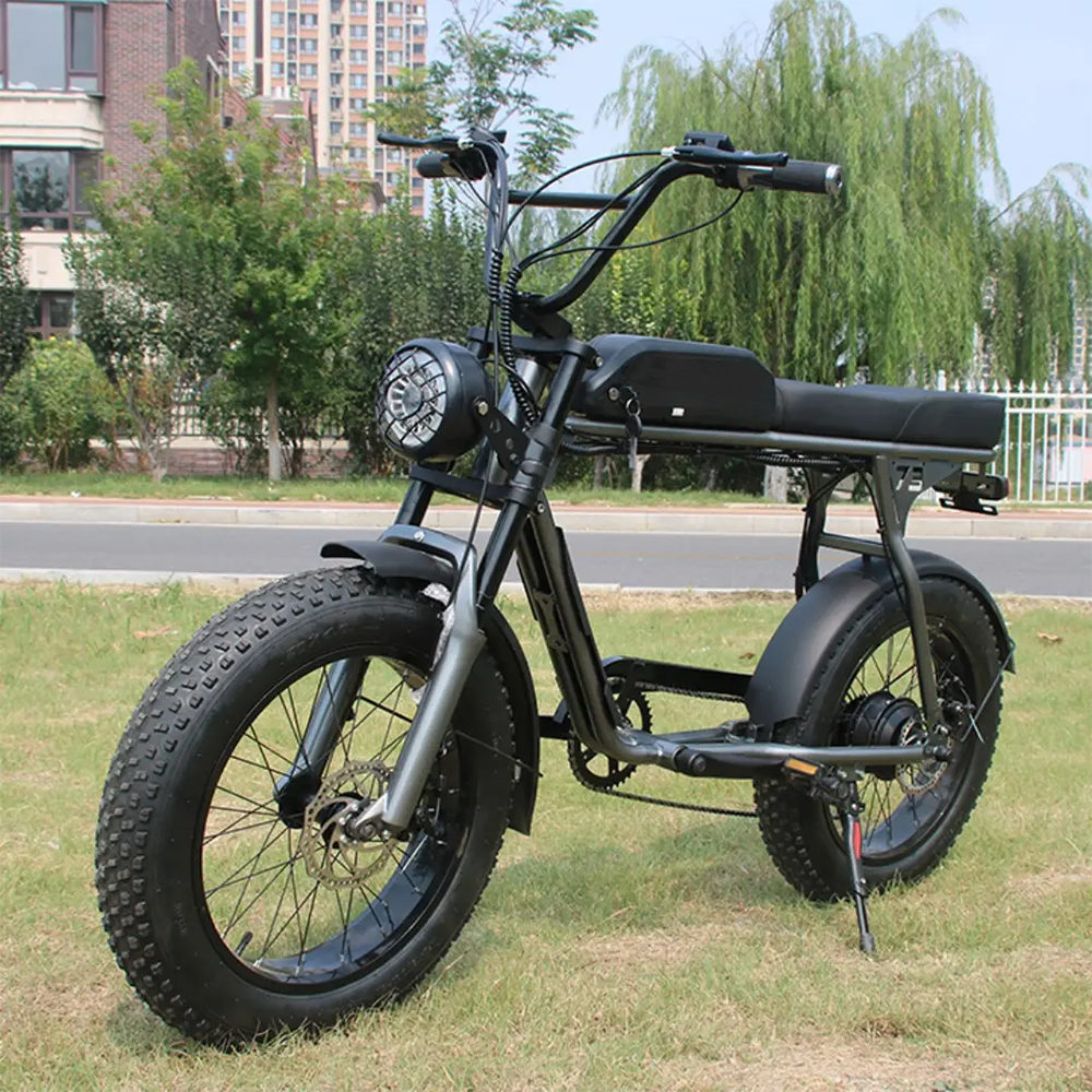 2024 Hot Sale front and rear hydraulic brake electric mountain bike 21 Speed Fat Tire Off Road Ebike for Adults Cycling