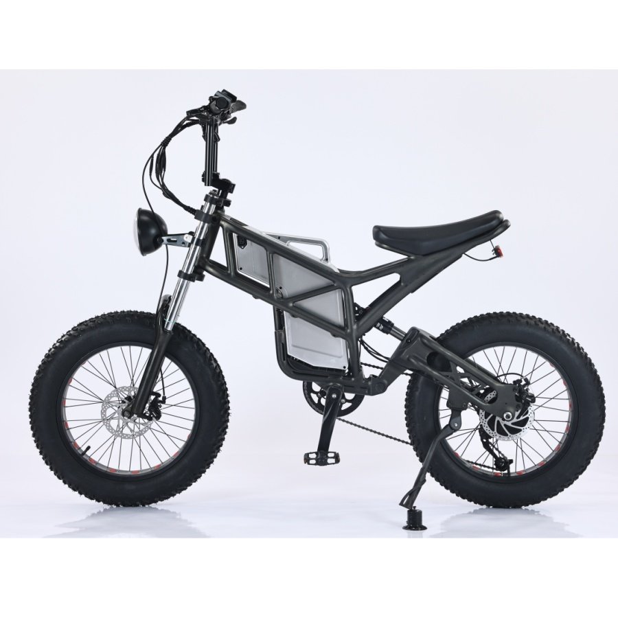 Aluminum alloy 750W 20 inch adult e dirt bike Fat Tire snow e-bike Hydraulic Disc Brake Lithium Battery off road Electric bike