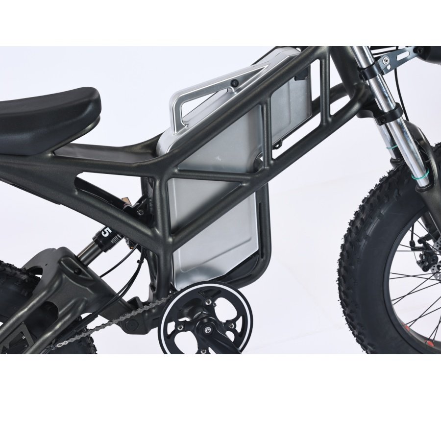 Aluminum alloy 750W 20 inch adult e dirt bike Fat Tire snow e-bike Hydraulic Disc Brake Lithium Battery off road Electric bike