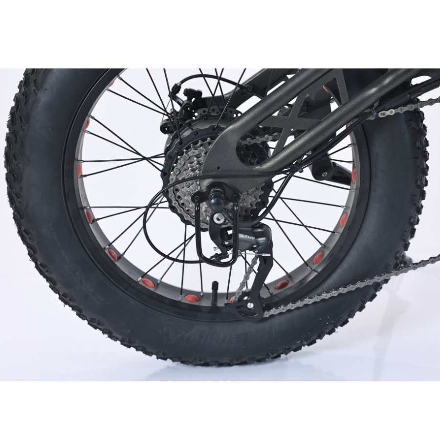 Aluminum alloy 750W 20 inch adult e dirt bike Fat Tire snow e-bike Hydraulic Disc Brake Lithium Battery off road Electric bike