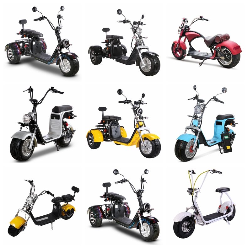 2024 Hottest Citycoco 10 inch electric bike stock in Netherlands warehouse
