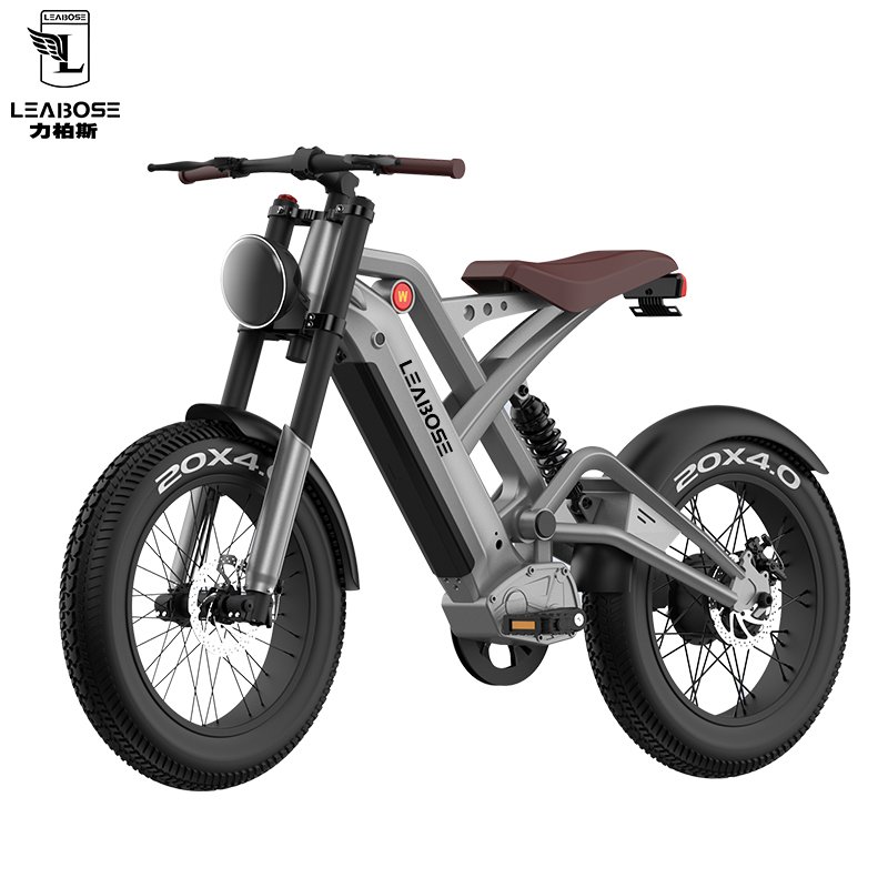 Cheap E Bike Hidoes Hot Selling Emtb Retro 48v 15ah Battery 1000w Electric Bicycle Electric Mountain Bike
