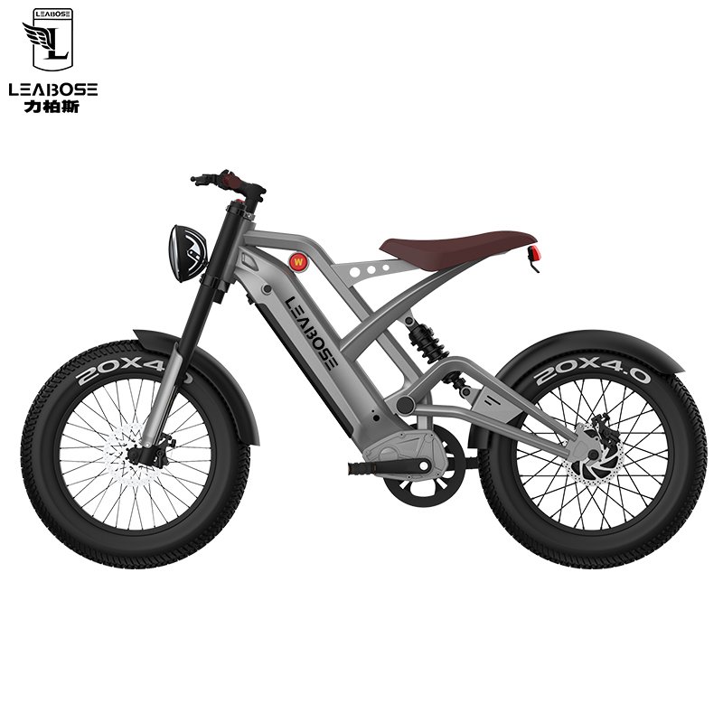 Cheap E Bike Hidoes Hot Selling Emtb Retro 48v 15ah Battery 1000w Electric Bicycle Electric Mountain Bike