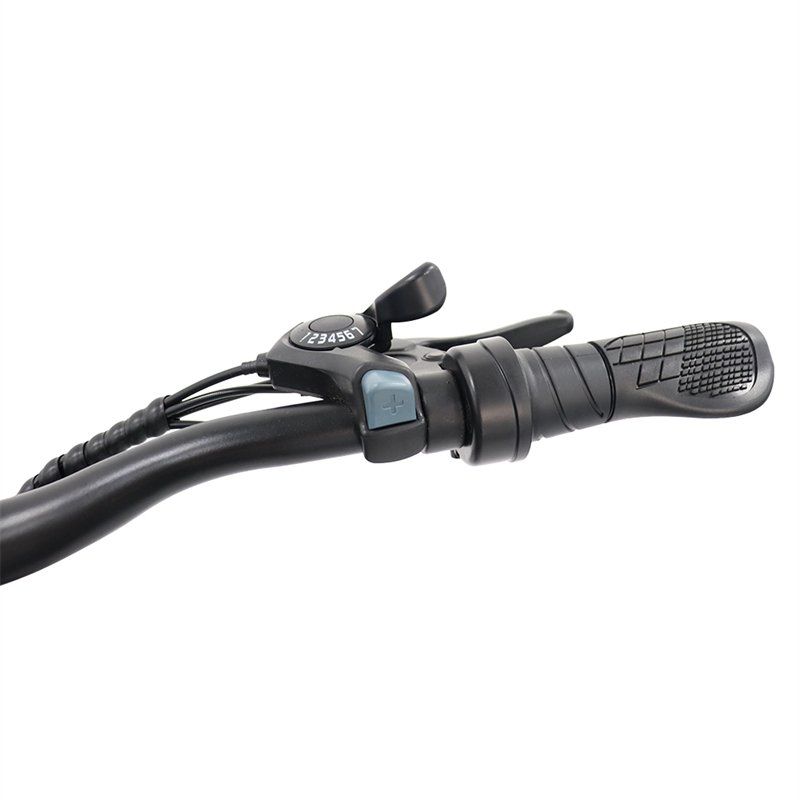 Ebike electric city bike eu stock scooter 26inch electric city bike 700 mm 36v 48V 250w 500w electric bicycle