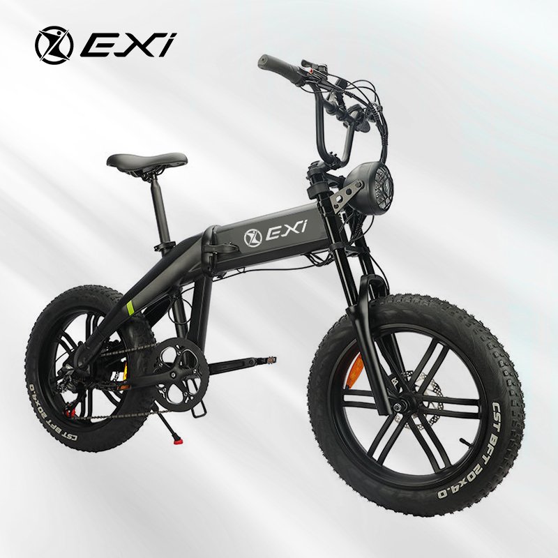 Customized 48V 500W Electric Mountain Bike Rear Hub Drive Disc Brake Integrated Lithium Aluminum Battery Safety Features Alloy