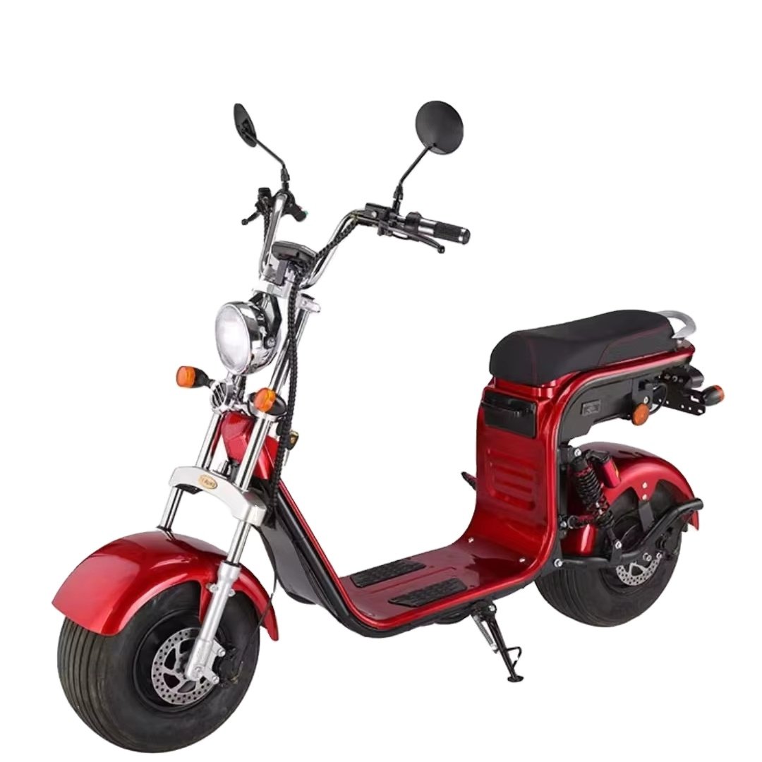 THB1 1500W 60V Electric Bike Smart Electronic City Coco Bike Rear Hub Motor Single Speed Steel Frame Tube Battery Position Sale