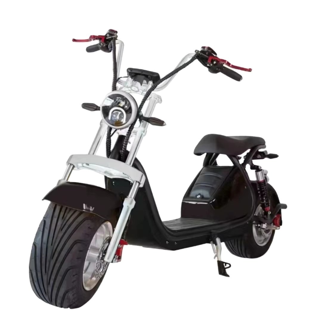 THB1 1500W 60V Electric Bike Smart Electronic City Coco Bike Rear Hub Motor Single Speed Steel Frame Tube Battery Position Sale
