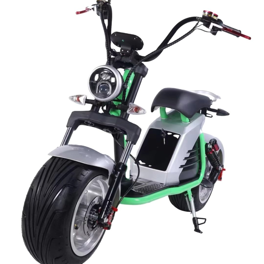 THB1 1500W 60V Electric Bike Smart Electronic City Coco Bike Rear Hub Motor Single Speed Steel Frame Tube Battery Position Sale