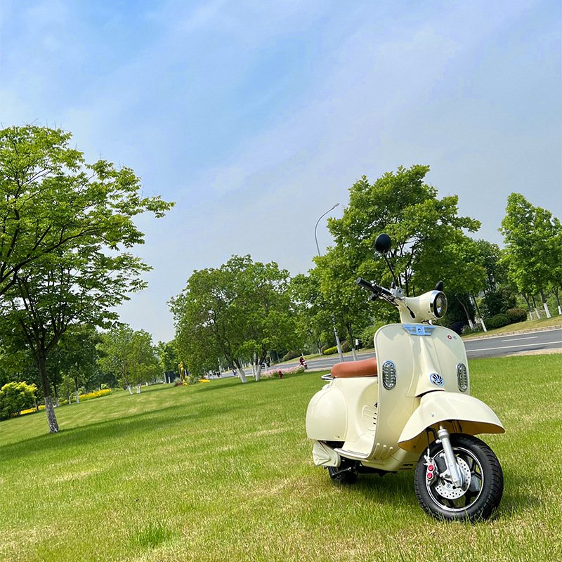 Wholesale High Power Electric Motorcycle 1000W 1200W 3000W Battery Powered Moped Retro Motorcycle Scooter