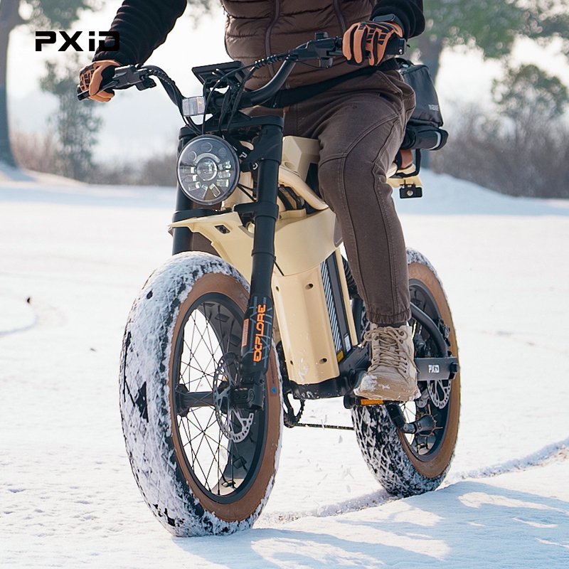 PXID MANTIS P6 ebike 20*4.0 Inch Fat tire dual suspension ebike 750W 1000W 1500W electric mountain bike for adults
