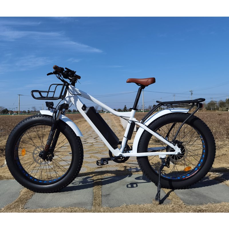 Electric Mountain Bike 26" Fat Tire Electric Bicycle 750W Fat Tire Electric Bike