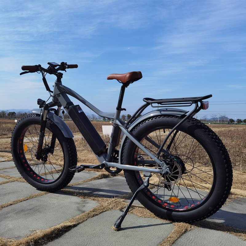 Electric Mountain Bike 26" Fat Tire Electric Bicycle 750W Fat Tire Electric Bike