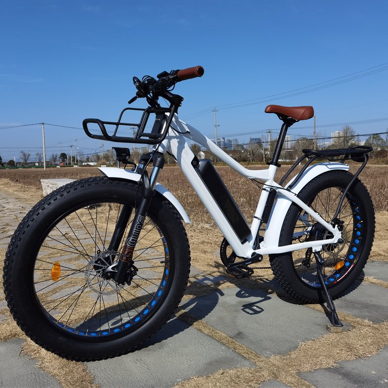 Electric Mountain Bike 26" Fat Tire Electric Bicycle 750W Fat Tire Electric Bike