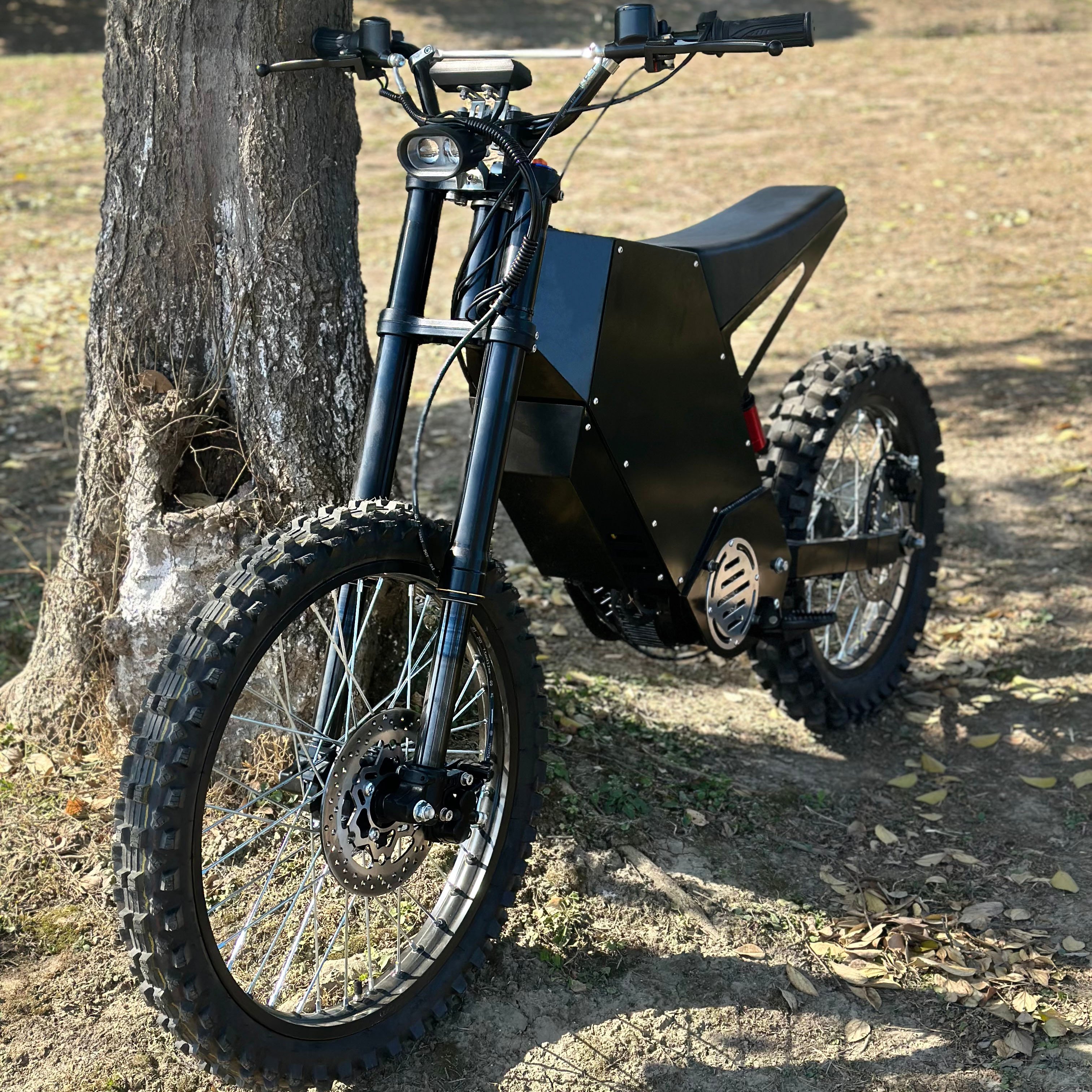 10000W City Street Bike 75ah Mountain E-Bike Dirt Electric Bicycle with 220KM Range
