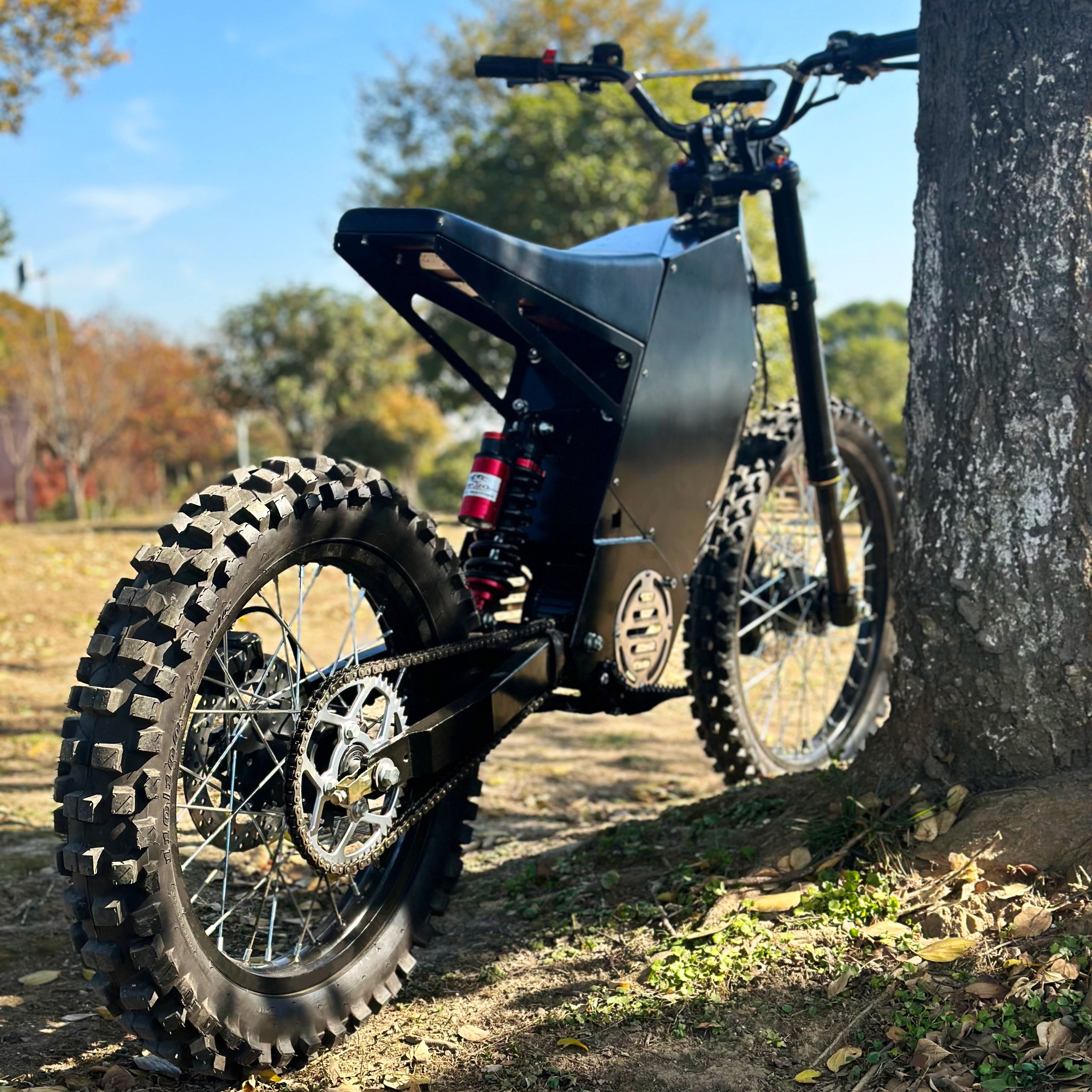 10000W City Street Bike 75ah Mountain E-Bike Dirt Electric Bicycle with 220KM Range