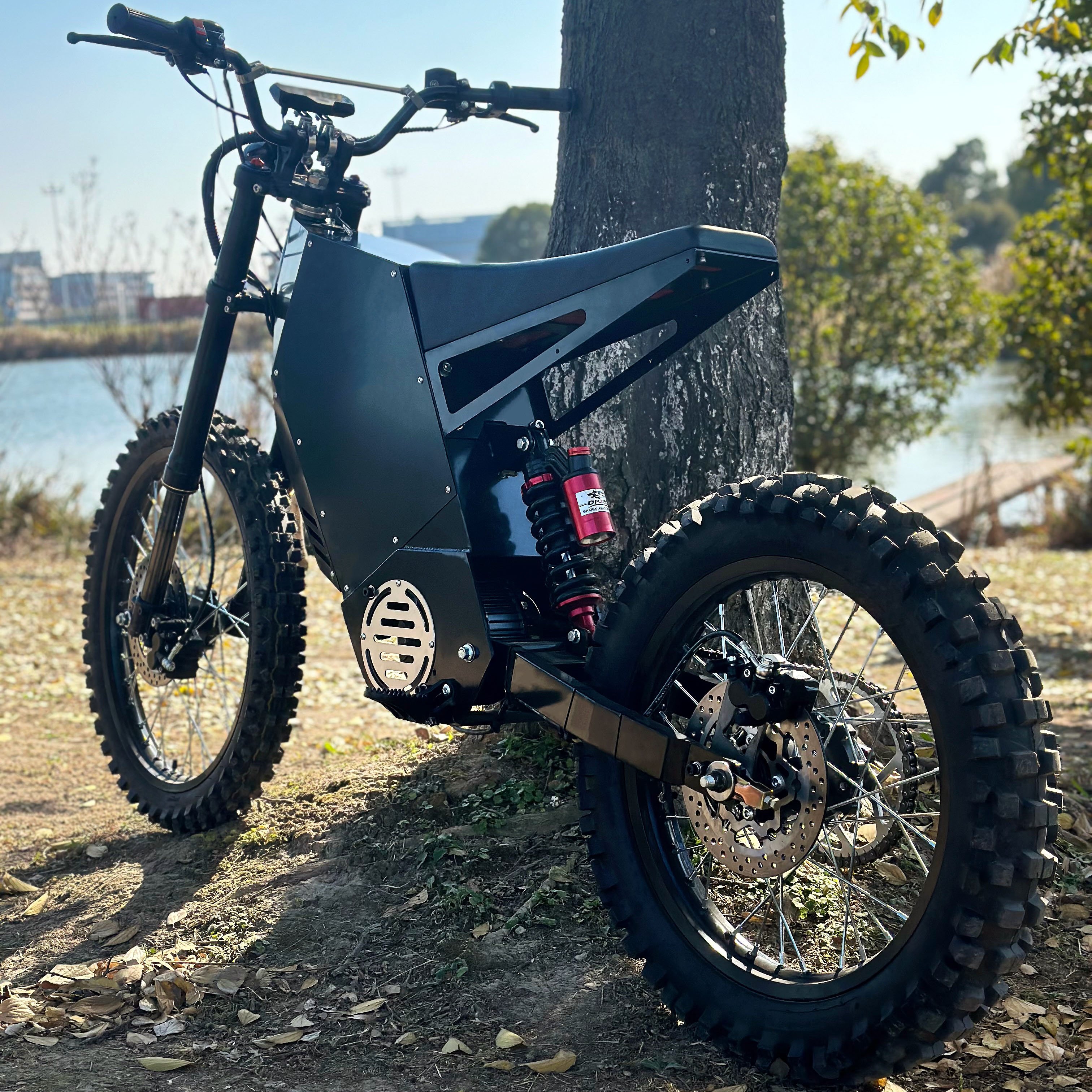 10000W City Street Bike 75ah Mountain E-Bike Dirt Electric Bicycle with 220KM Range