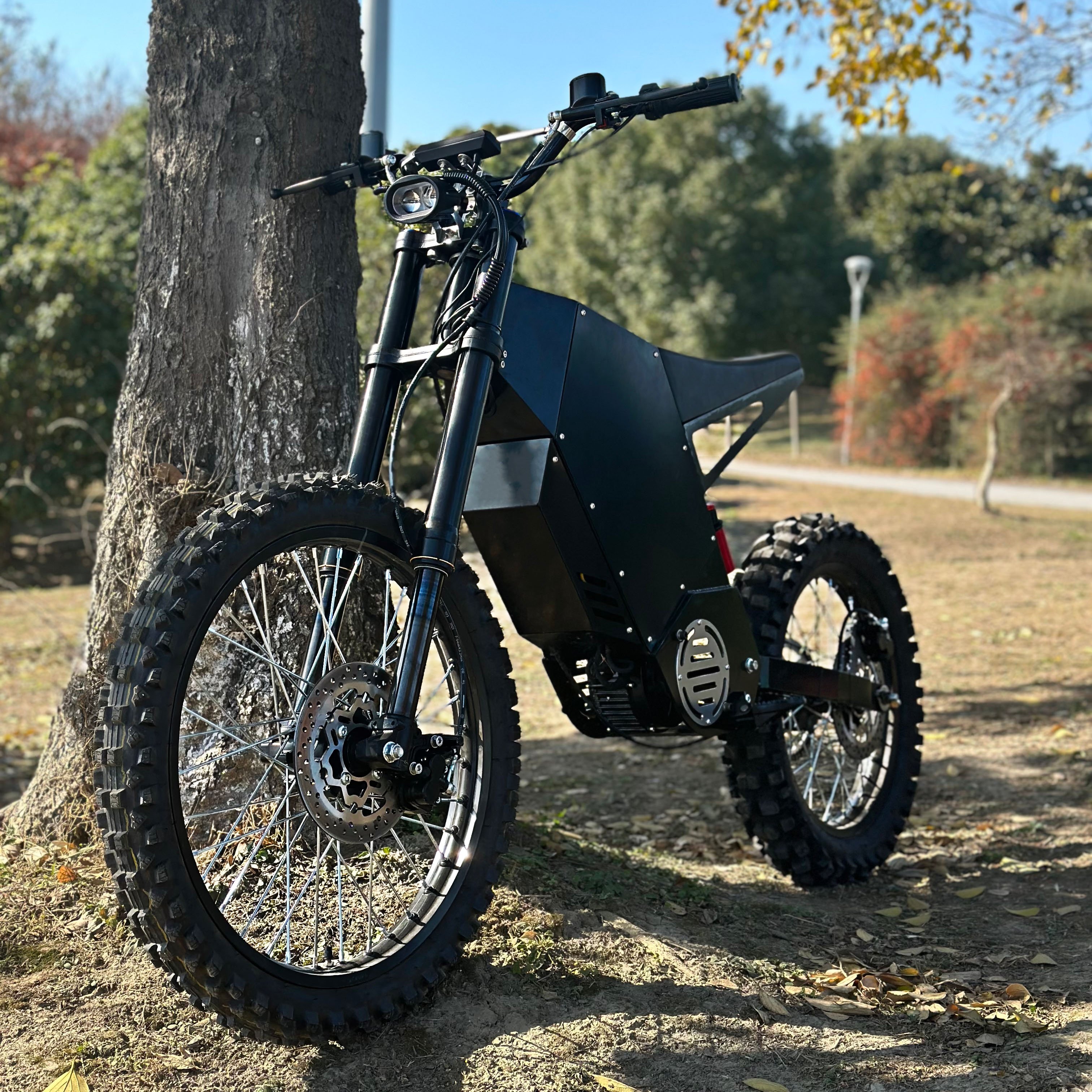 10000W City Street Bike 75ah Mountain E-Bike Dirt Electric Bicycle with 220KM Range