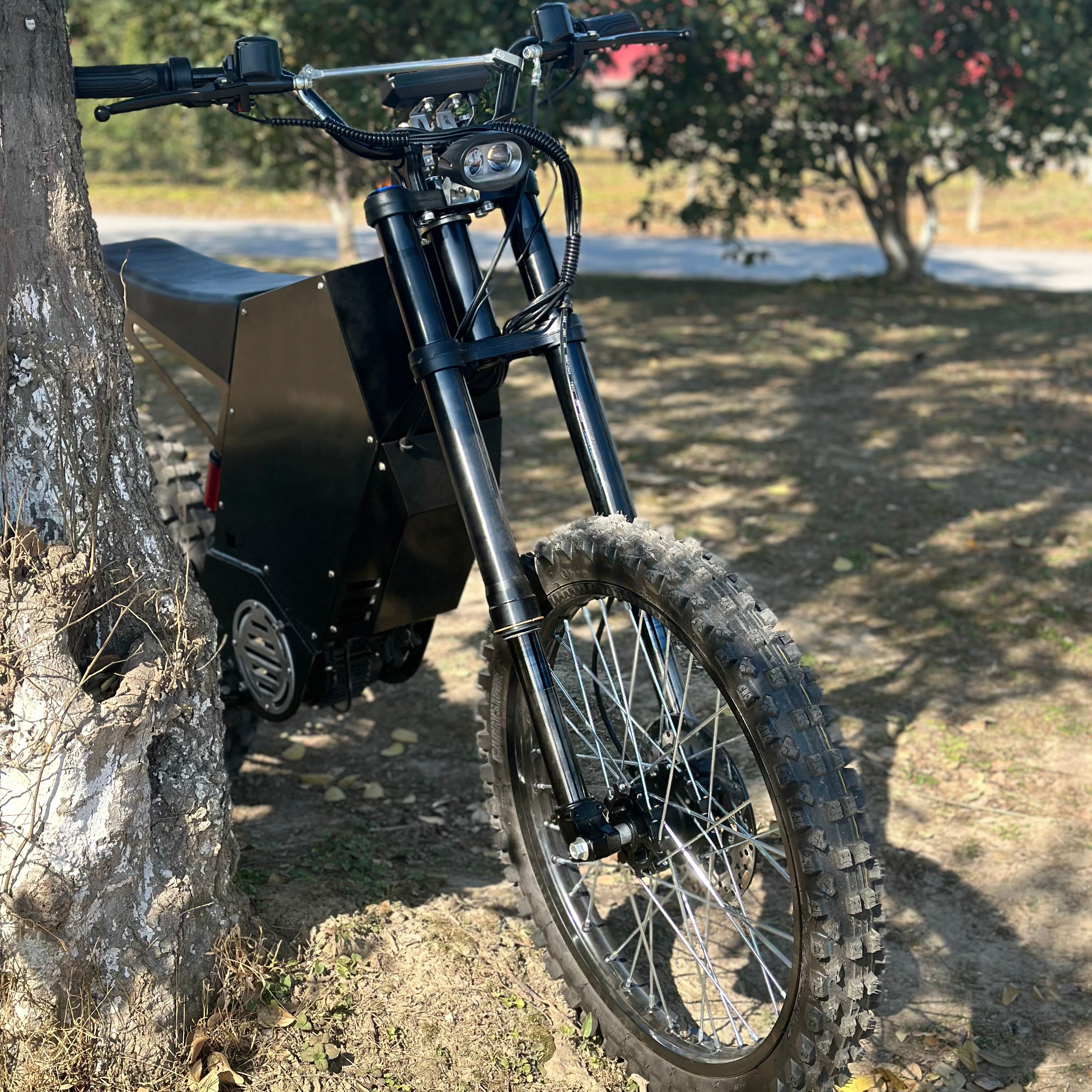 10000W City Street Bike 75ah Mountain E-Bike Dirt Electric Bicycle with 220KM Range