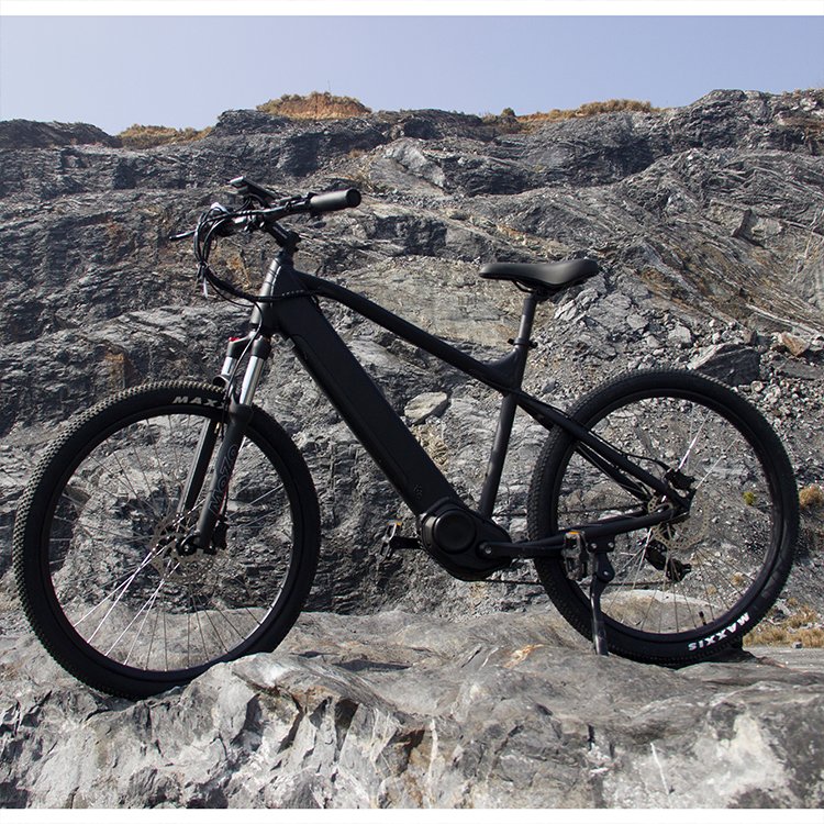 hot selling 500w mid drive motor e-bike mountain bike electric bicycle bike