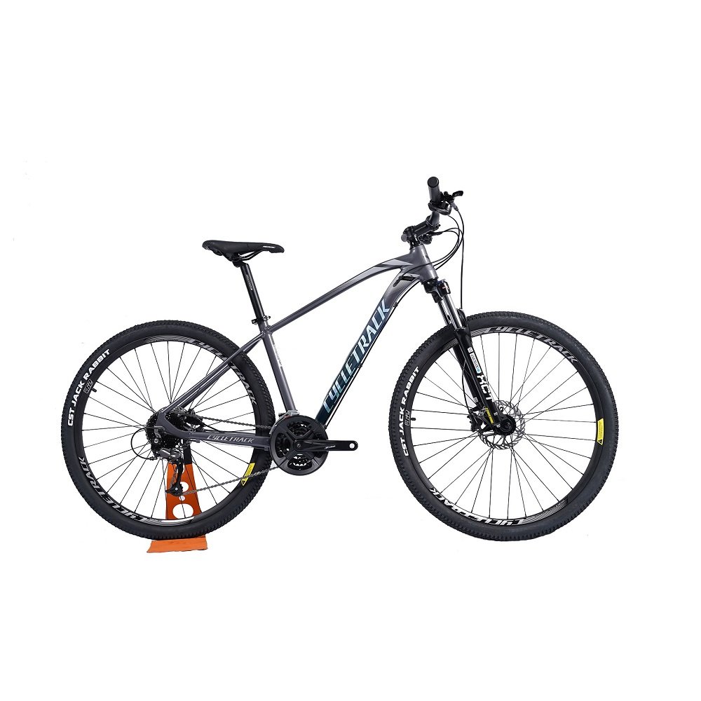 Cycletrack 690 Factory Wholesale MTB Bicycle Aluminum Alloy MTB 29 Inch Mountain Bike with Oil Break Alloy Rim