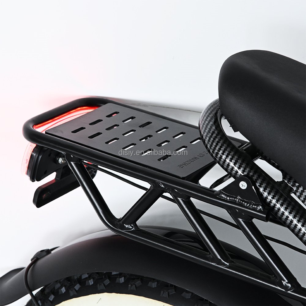 Disiyuan S9 plus electric mountain bike 20inch 48v 10ah 15ah 20ah 30ah 500w 1000watt electric bicycle fat tire road dirt ebike