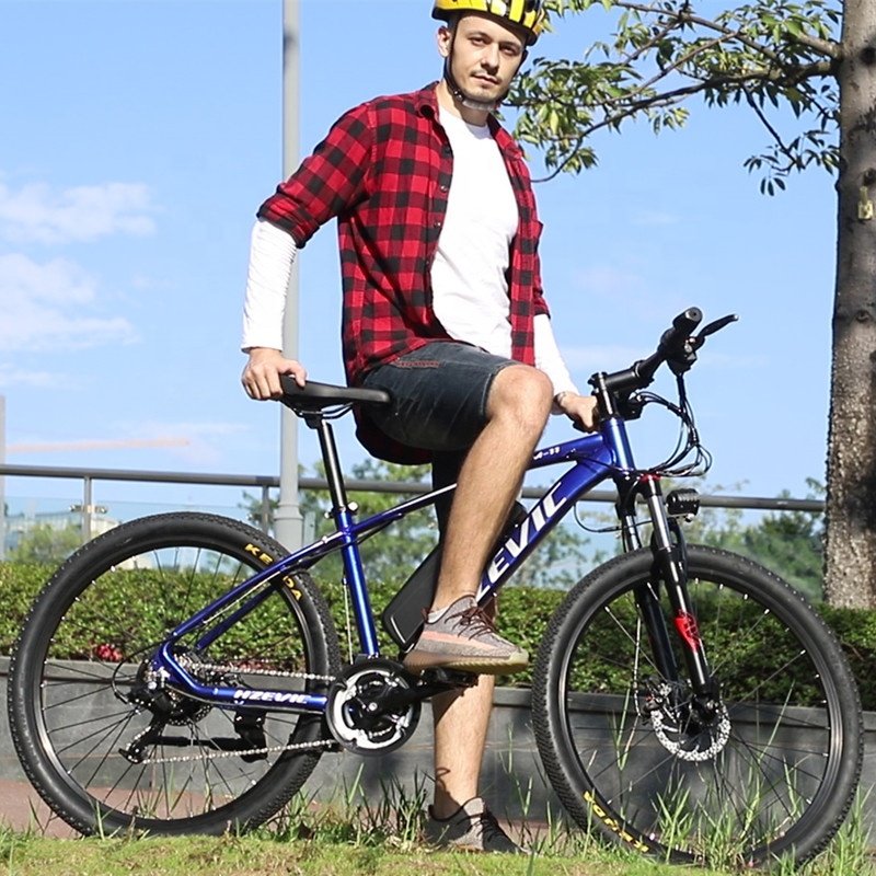 36V 350W 10Ah 21 Speed Electric Bike E Bike Ebike Lithium Battery Electric Mountain Bike Bicycle with CE