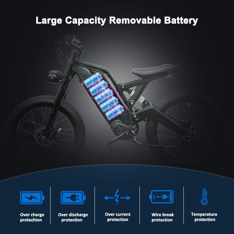 24 inch Fat Tire 2000W 48V 35AH Lithium Battery Aluminum Alloy Adult 7 Speed Dirt eBike E MTB Dual Motor Electric Mountain Bike