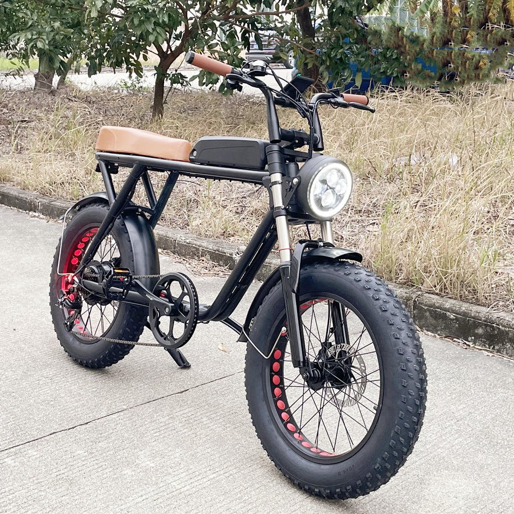 best sell snow ebike 48v 500w 20*4 inch fat tire electric bike disc brake electric mountain bike 750w electric bicycle