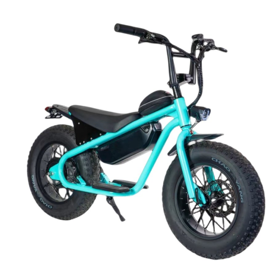 fat bike electric bicycle 750W electric bike 26 inch Mountain bike custom bicycle