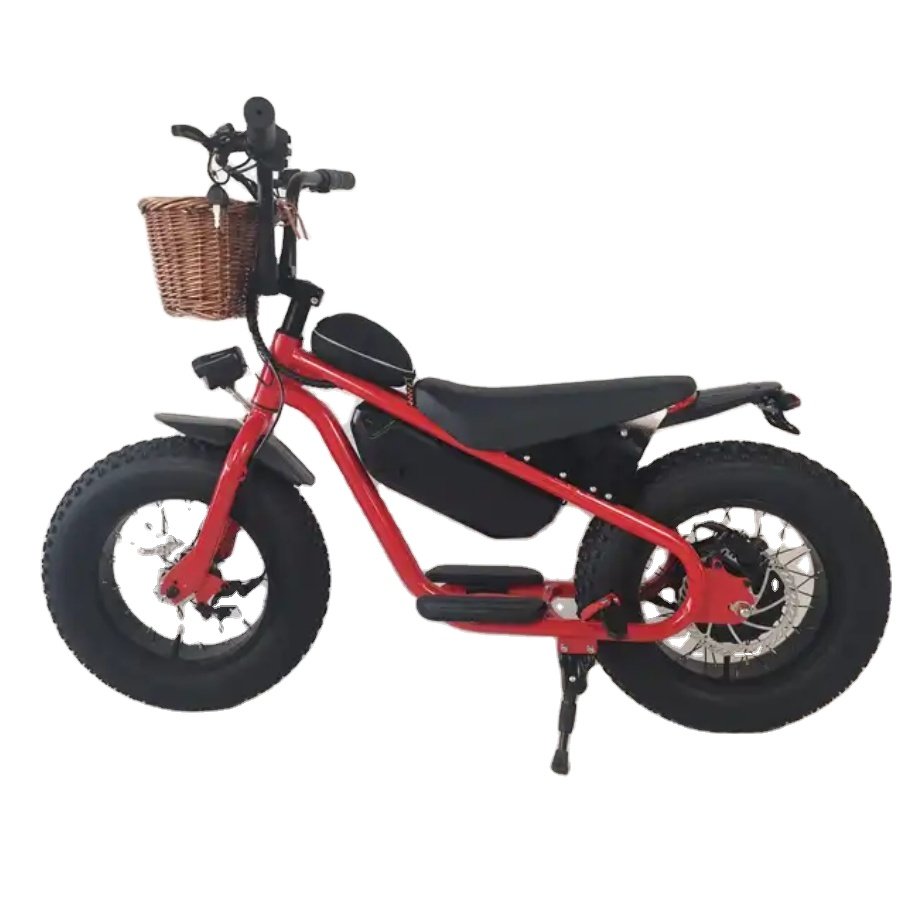 fat bike electric bicycle 750W electric bike 26 inch Mountain bike custom bicycle