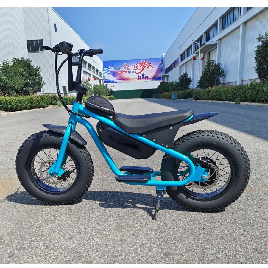 fat bike electric bicycle 750W electric bike 26 inch Mountain bike custom bicycle