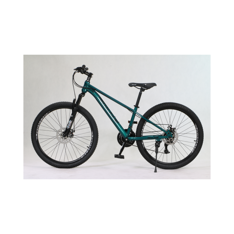 mountain bike China cycle factory 24 inch 21speed mtb customized steel frame new style mountain bike bicycle