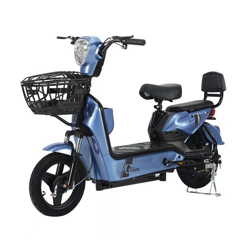 Hot Selling Ebike Electric Bike Electric City Bike Bicycle Control Unit electric Bike With Pet Carrier